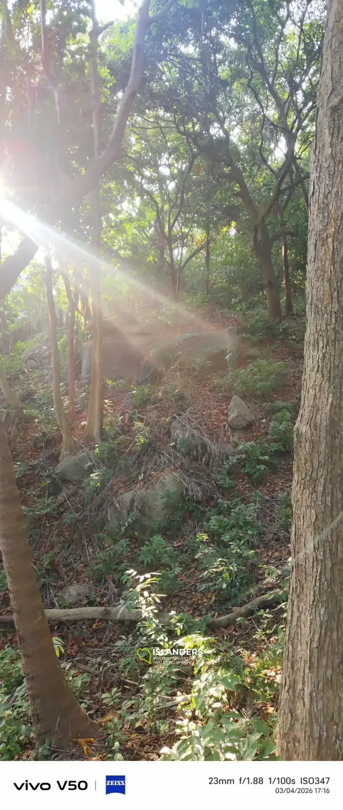 Amazing beach front land 9 Rai in Haad Rin