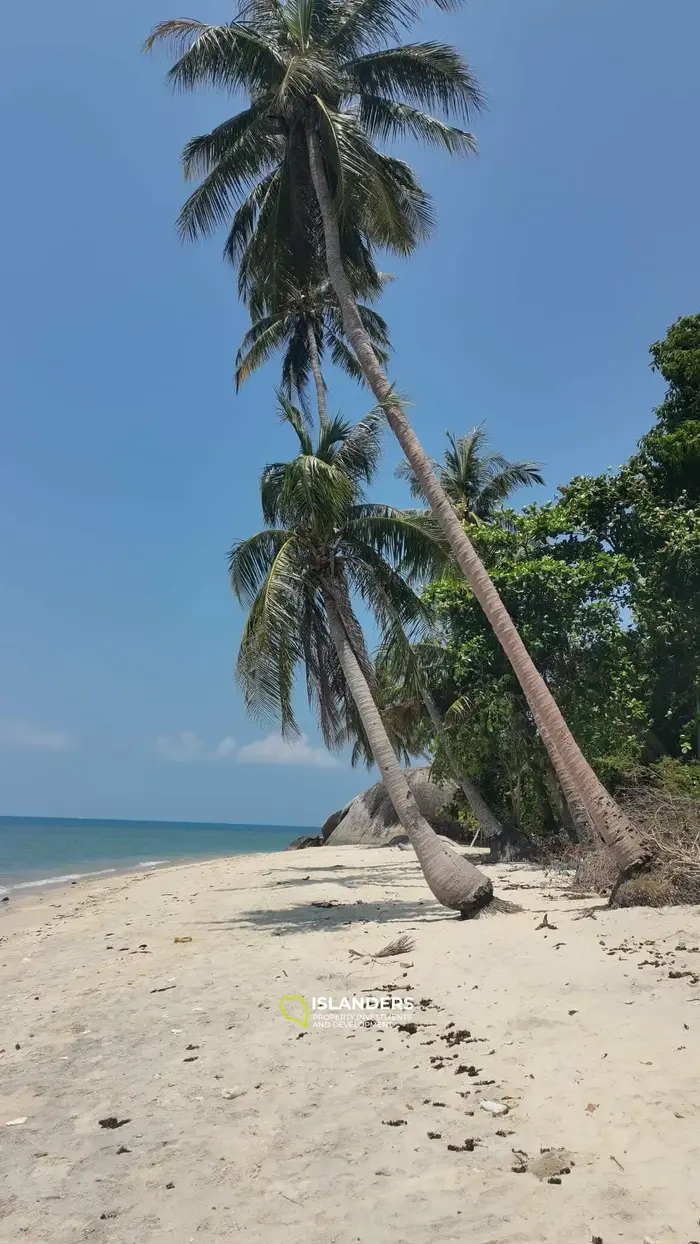 Amazing beach front land 9 Rai in Haad Rin