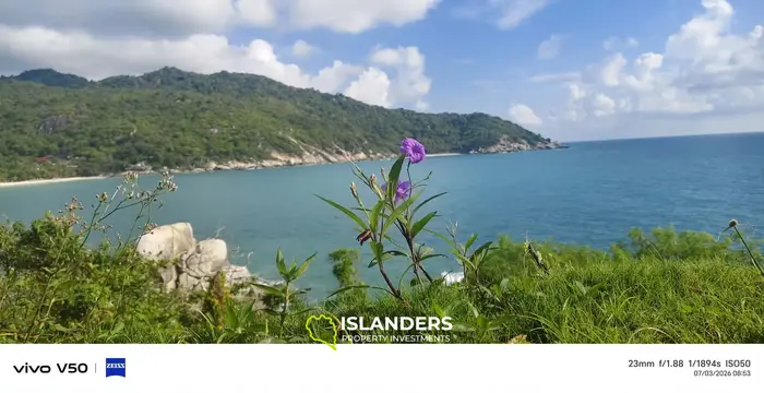 AMEZING  HAAD RIN'S CROWN JEWEL 