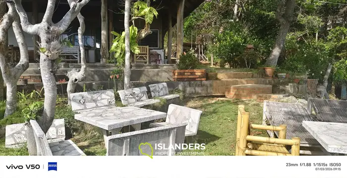 AMEZING  HAAD RIN'S CROWN JEWEL 