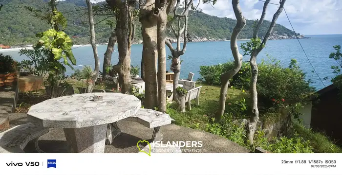 AMEZING  HAAD RIN'S CROWN JEWEL 