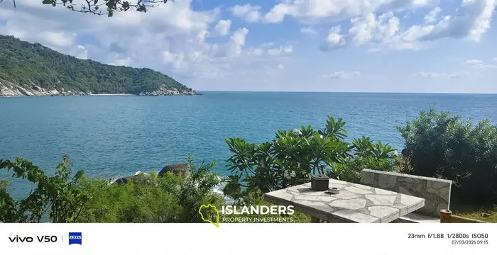 AMEZING  HAAD RIN'S CROWN JEWEL 