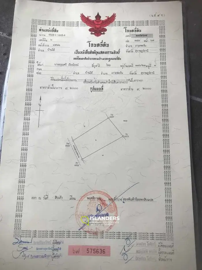 AMEZING  HAAD RIN'S CROWN JEWEL 