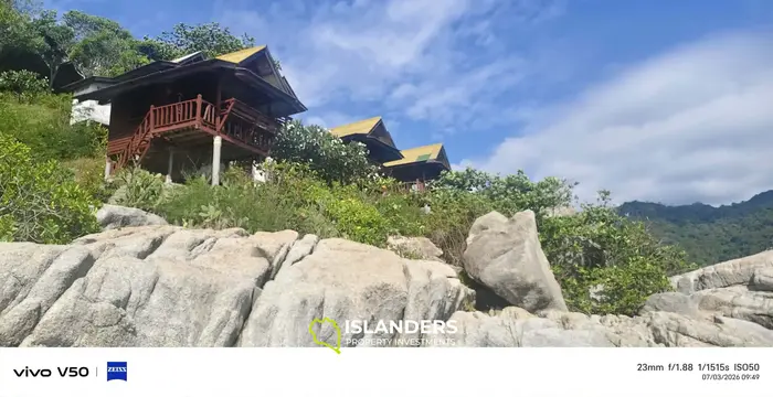 AMEZING  HAAD RIN'S CROWN JEWEL 