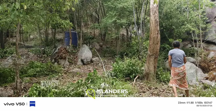 Haad Rin nai (west)  sunset seaview 2rai 1ngan