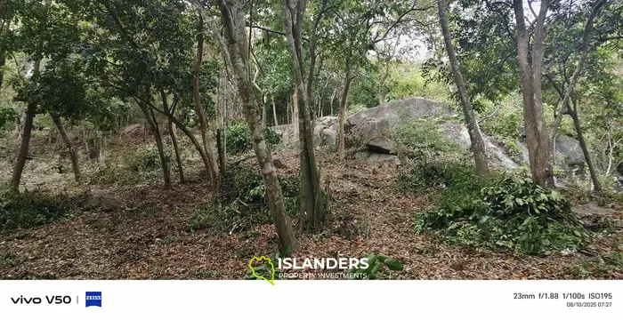 Haad Rin nai (west)  sunset seaview 2rai 1ngan