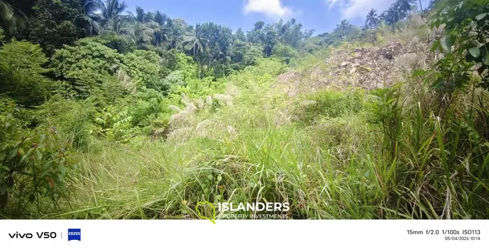 4rai of cha-nod,bantai ...Very Good Price from today-13apirl2026