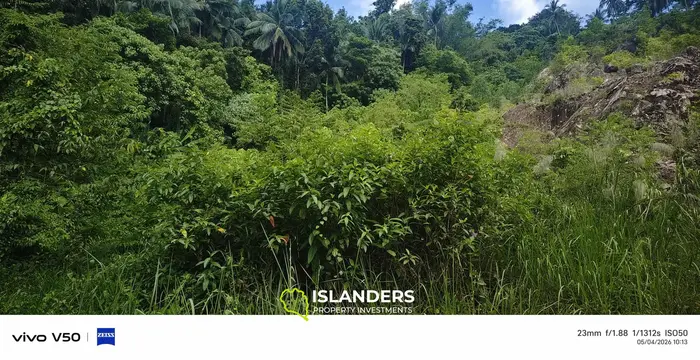 4rai of cha-nod,bantai ...Very Good Price from today-13apirl2026