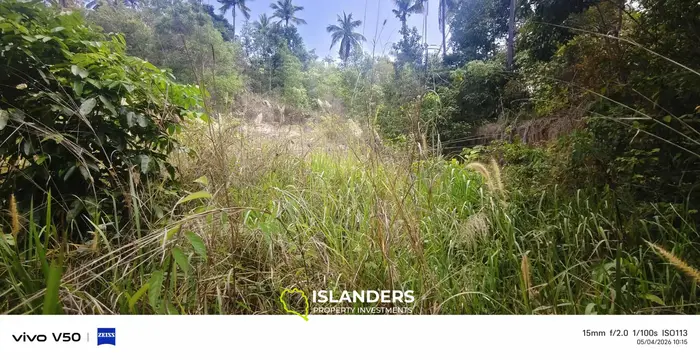 4rai of cha-nod,bantai ...Very Good Price from today-13apirl2026