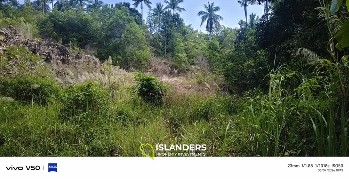 4rai of cha-nod,bantai ...Very Good Price from today-13apirl2026