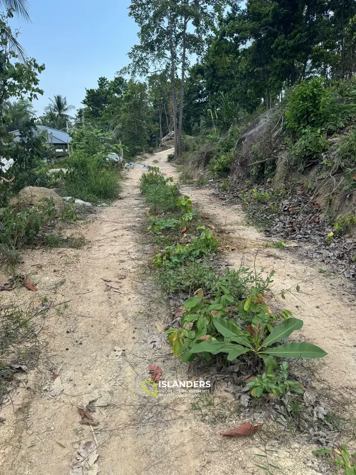 Exquisite Land for Sale in Koh Phangan with Stunning Mountain Views