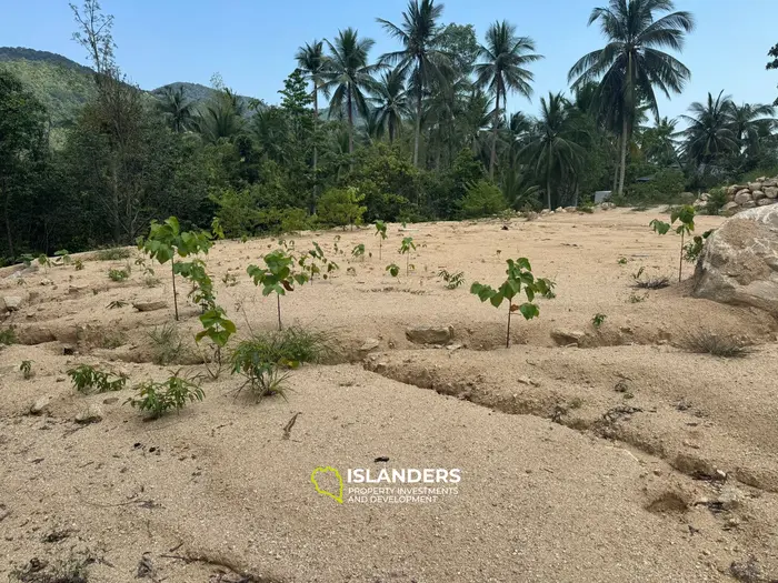 Exquisite Land for Sale in Koh Phangan with Stunning Mountain Views