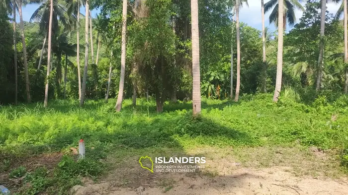 Chaloklum Land Plots with Jungle View in Koh Phangan