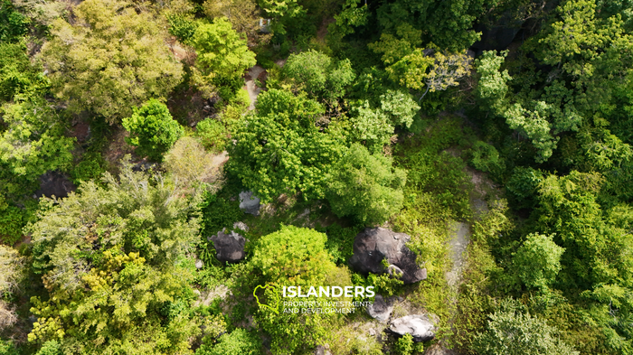 Exclusive Sea View Land for Sale in Chalok, Koh Tao