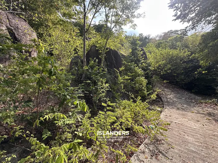 Exclusive Sea View Land for Sale in Chalok, Koh Tao