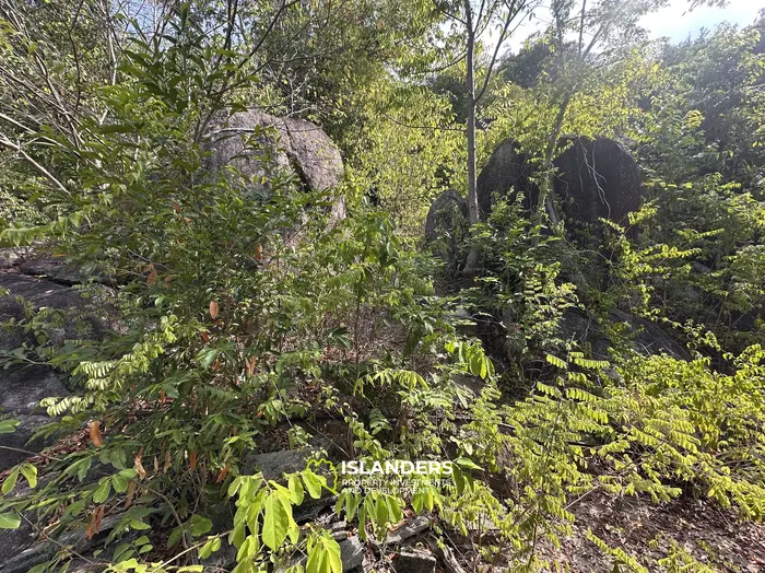 Exclusive Sea View Land for Sale in Chalok, Koh Tao