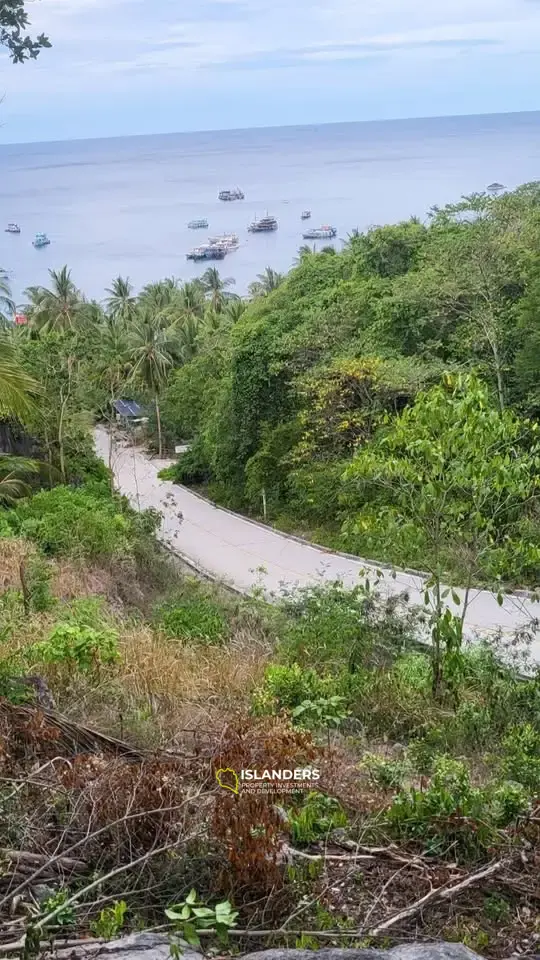 Breathtaking Land for Sale in Koh Tao - A Slice of Paradise