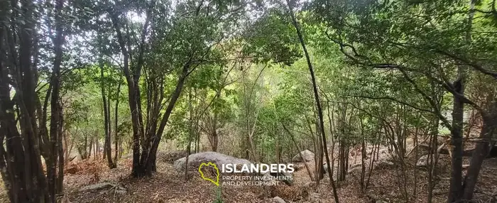 Breathtaking Land for Sale in Koh Tao - A Slice of Paradise