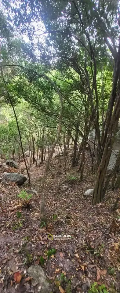 Breathtaking Land for Sale in Koh Tao - A Slice of Paradise