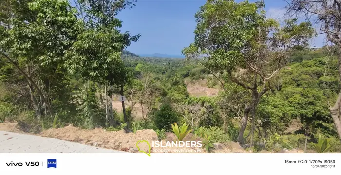 Exclusive Land for Sale in Srithanu, Koh Phangan