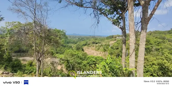 Exclusive Land for Sale in Srithanu, Koh Phangan