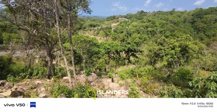 Exclusive Land for Sale in Srithanu, Koh Phangan
