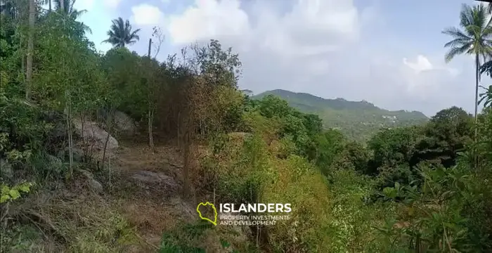 Exclusive Sea View Land for Sale in Koh Tao, Ao Leuk