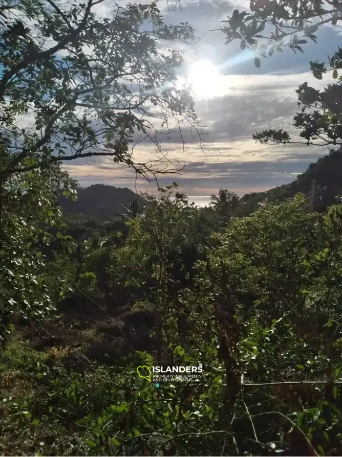Exclusive Sea View Land for Sale in Koh Tao, Ao Leuk