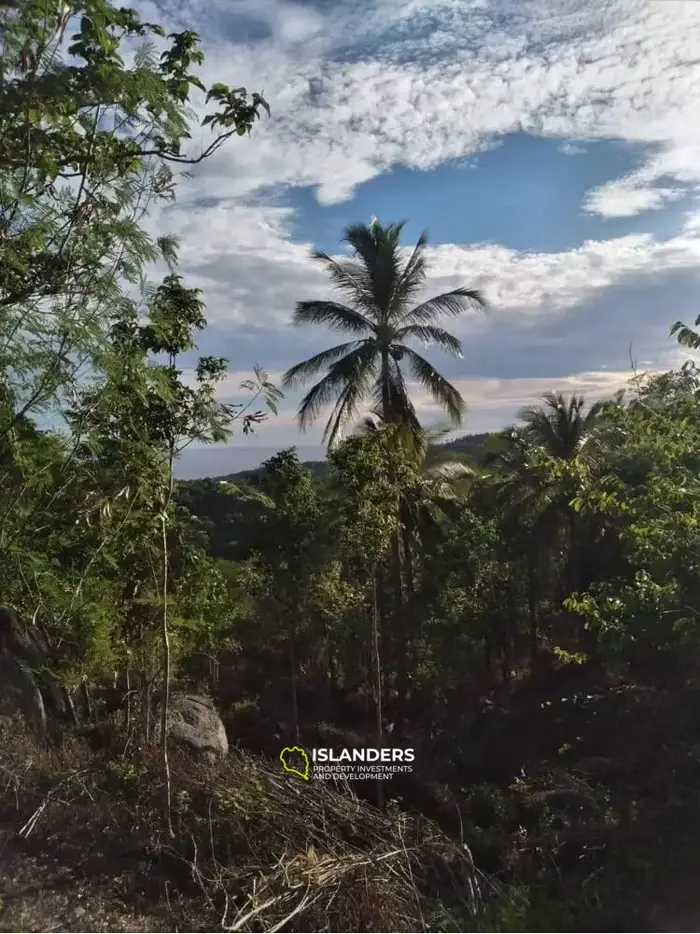 Exclusive Sea View Land for Sale in Koh Tao, Ao Leuk