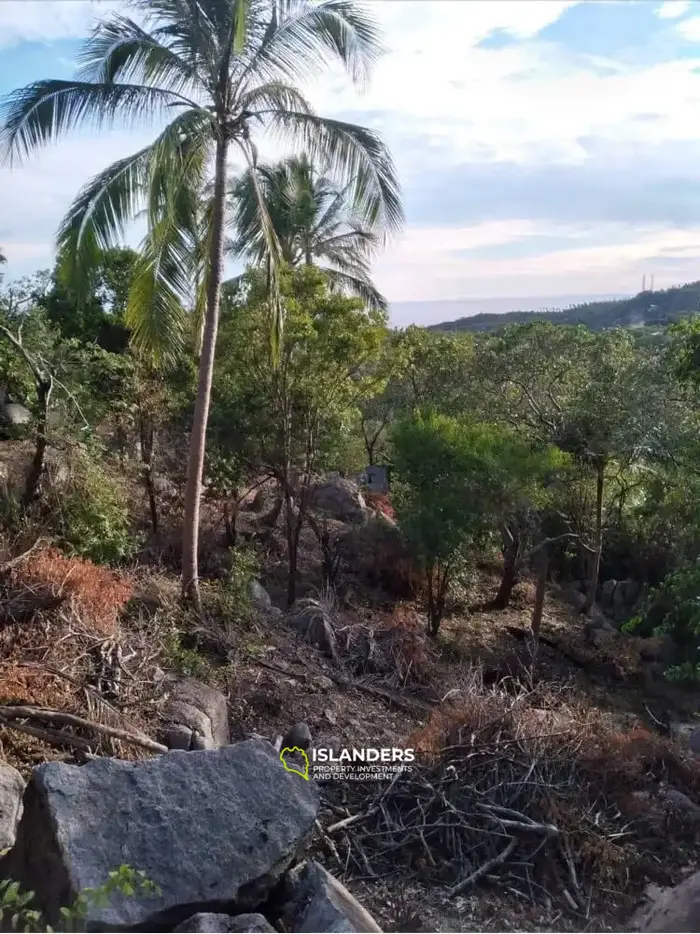 Exclusive Sea View Land for Sale in Koh Tao, Ao Leuk