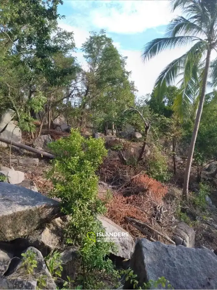 Exclusive Sea View Land for Sale in Koh Tao, Ao Leuk