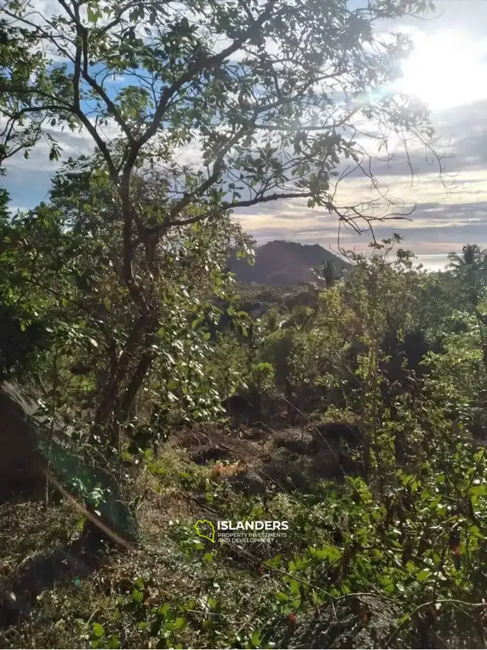 Exclusive Sea View Land for Sale in Koh Tao, Ao Leuk