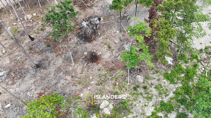  The Best Land Plots With Breathtaking View in Haad Yao — for Living and Investment PLOT #6