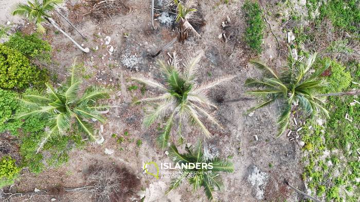  The Best Land Plots With Breathtaking View in Haad Yao — for Living and Investment PLOT #6