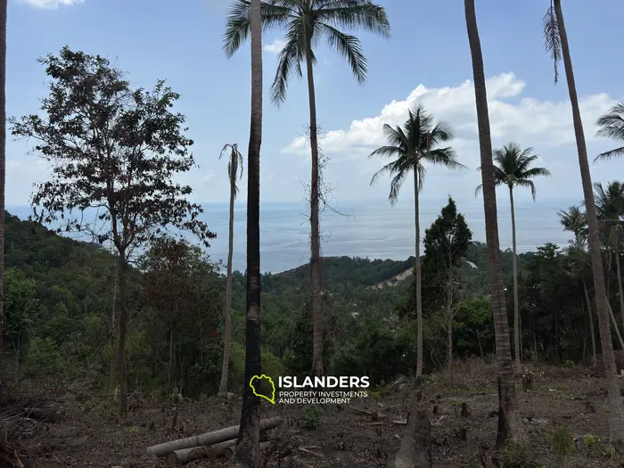  The Best Land Plots With Breathtaking View in Haad Yao — for Living and Investment PLOT #6