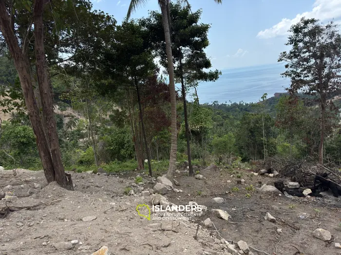  The Best Land Plots With Breathtaking View in Haad Yao — for Living and Investment PLOT #6