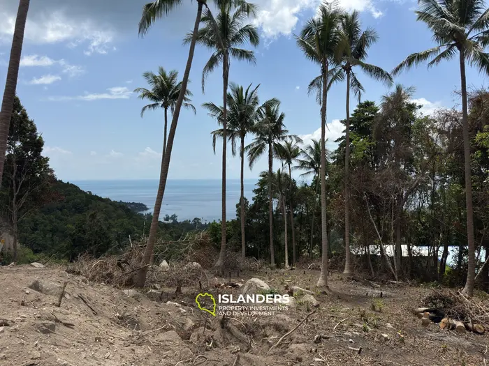 The Best Land Plots With Breathtaking View in Haad Yao — for Living and Investment PLOT #2