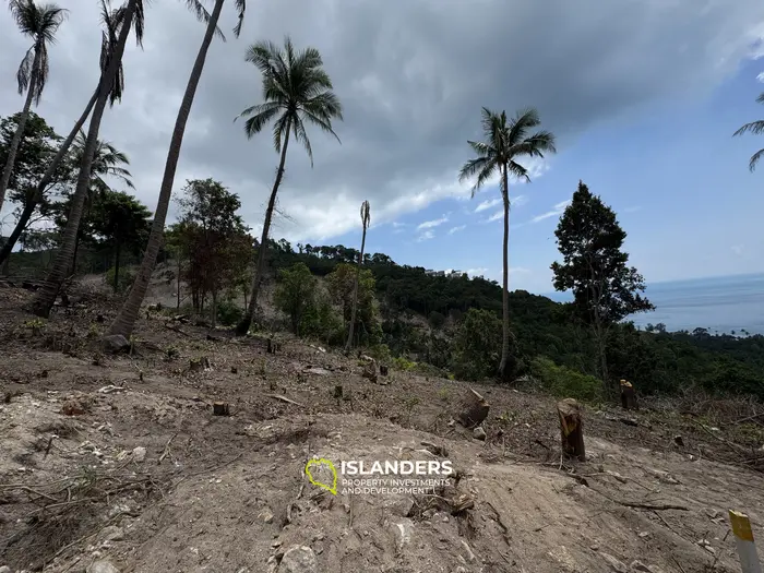 Les Meilleurs Terrains Avec Une Vue À Couper Le Souffle à Haad Yao — pour Vivre et Investir PLOT #2