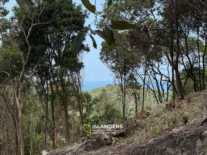 The Best Land Plots With Breathtaking View in Haad Yao — for Living and Investment PLOT #5