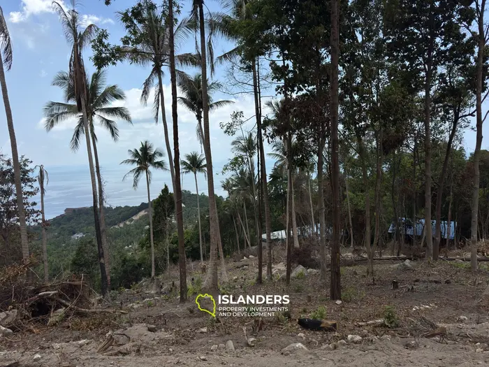 The Best Land Plots With Breathtaking View in Haad Yao — for Living and Investment PLOT #5