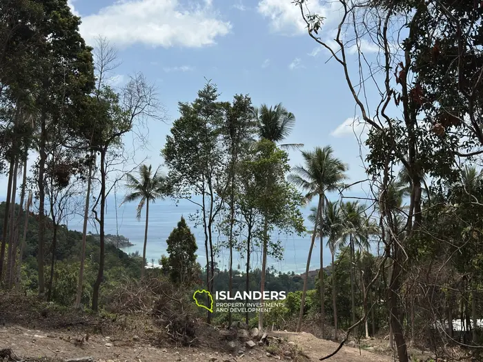 The Best Land Plots With Breathtaking View in Haad Yao — for Living and Investment PLOT #5