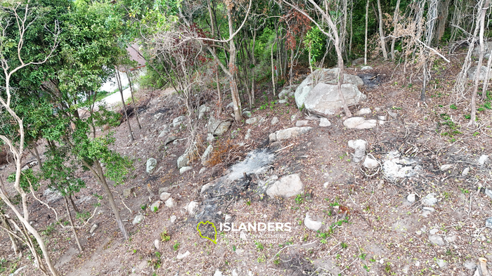 The Best Land Plots With Breathtaking View in Haad Yao — for Living and Investment PLOT #5