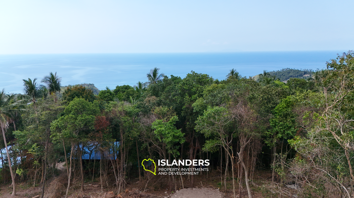 The Best Land Plots With Breathtaking View in Haad Yao — for Living and Investment PLOT #5