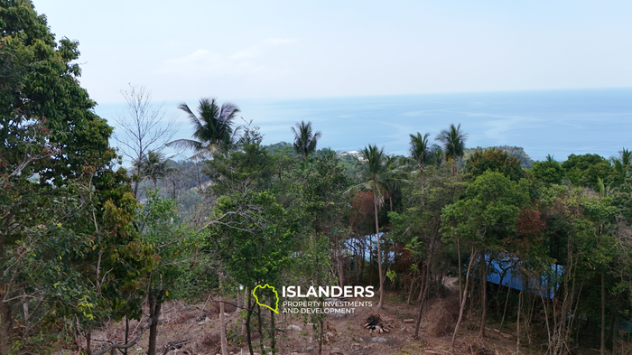 The Best Land Plots With Breathtaking View in Haad Yao — for Living and Investment PLOT #5