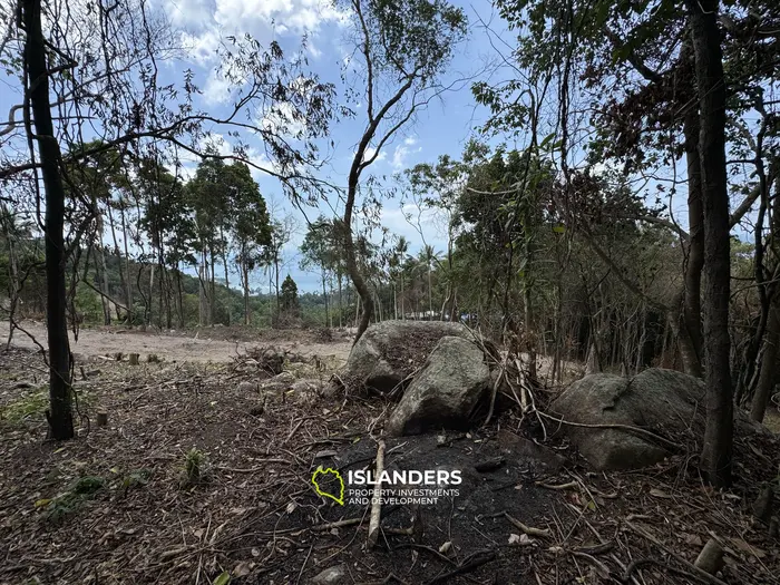 The Best Land Plots With Breathtaking View in Haad Yao — for Living and Investment PLOT #5