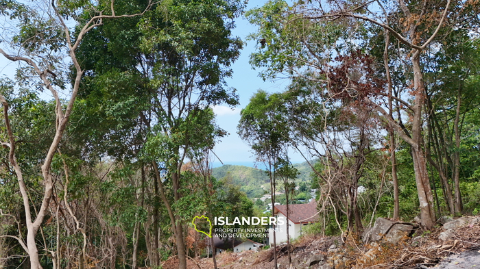 The Best Land Plots With Breathtaking View in Haad Yao — for Living and Investment PLOT #5