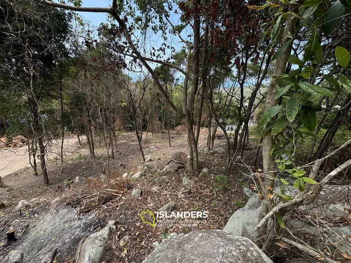 The Best Land Plots With Breathtaking View in Haad Yao — for Living and Investment PLOT #5