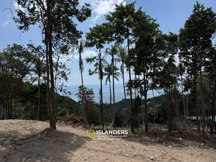 The Best Land Plots With Breathtaking View in Haad Yao — for Living and Investment PLOT #5