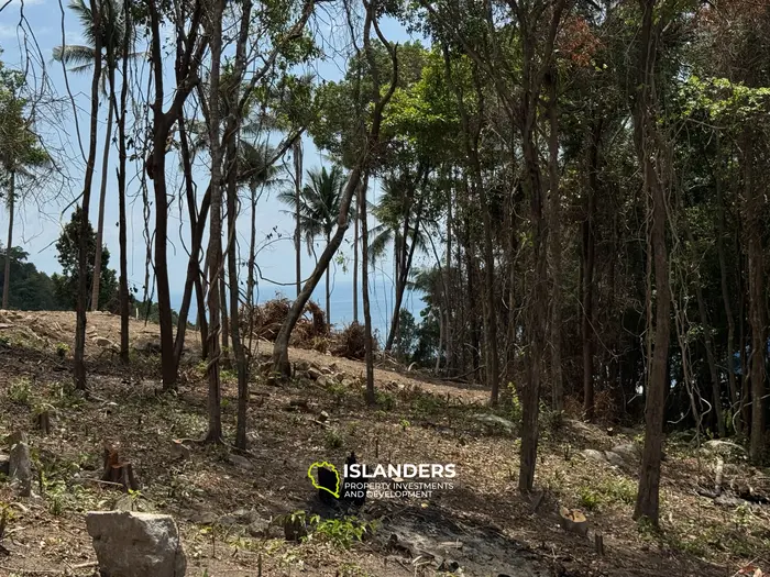 The Best Land Plots With Breathtaking View in Haad Yao — for Living and Investment PLOT #3