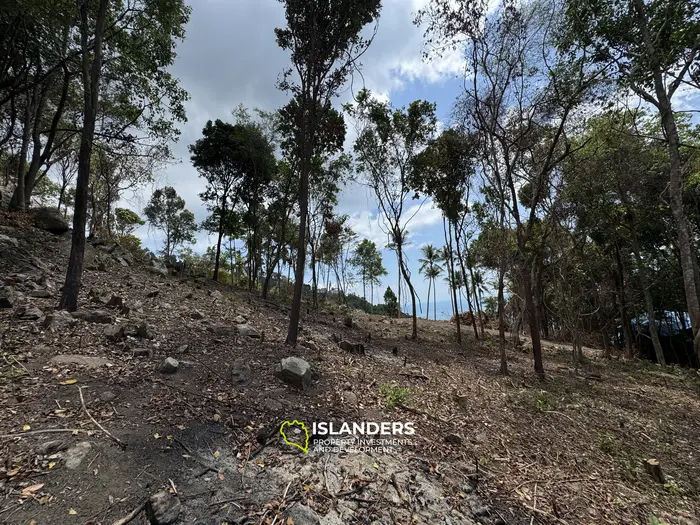 The Best Land Plots With Breathtaking View in Haad Yao — for Living and Investment PLOT #3